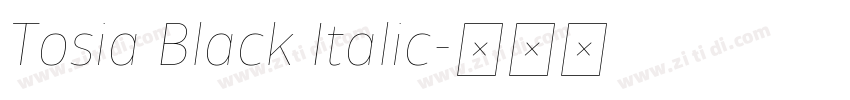 Tosia Black Italic字体转换